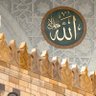 ظبي 🍃 profil fotoğrafı