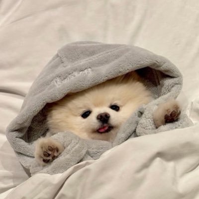 mio_31508's profile picture