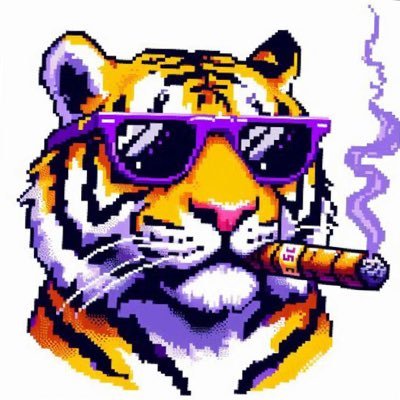 Tiger Vibes's profile picture