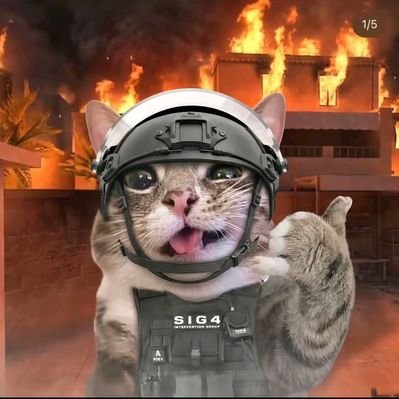 Groo🤖's profile picture