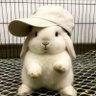 Jasminefifi's profile picture