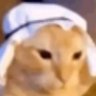 π's profile picture