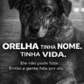 Marcelo Spada profil fotoğrafı