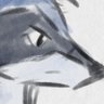 tossit ▶️ ACFI's profile picture