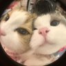 Profilbild von su