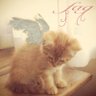 𝓹𝓸𝓵𝓵𝔂's profile picture