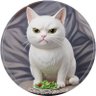 Profilbild von BARO