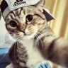 FAQQQ's profile picture