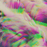 xerocrop's profile picture