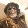 Profilbild von Jeff Missey