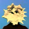 (≖͞_≖̥)'s profile picture