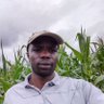 Daniel Mushikoma's profile picture