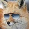 tom3 profil fotoğrafı