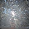 مُــــحَـ ـمَّـــدُ 的头像