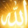 Profilbild von ابو حسن