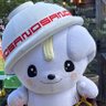 枝豆🫛's profile picture