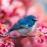 🕊🕊🕊 profil fotoğrafı