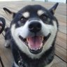 つっちー profil fotoğrafı
