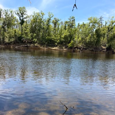justachubbylatinguy's profile picture