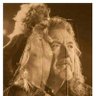 LeX Zeppelin's profile picture