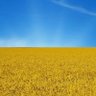 Jack Foster's profile picture