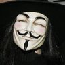 Big Fox (Brasil)'s profile picture