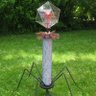 Bacteriophage profil fotoğrafı