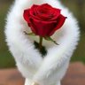Khan Khan's profile picture