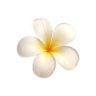 dove °˖ 。˚꩜'s profile picture