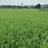 ஏலகிரியார் 的头像