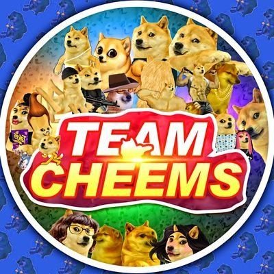 team_cheems's profile picture