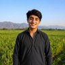 Ahmed Raza profil fotoğrafı