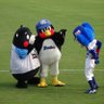 Profilbild von いよてつ髙島屋