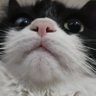 Mooooa 的头像