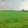 sunwill🌄 profil fotoğrafı