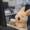 - `°🐰 G °‧🪞🍞🍧 profil fotoğrafı