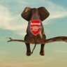 MR ARSENAL 的头像