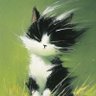 Dinso🐾 profil fotoğrafı