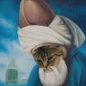 Profilbild von meowslim