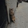 あきら 的头像