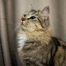 Jax Lane profil fotoğrafı