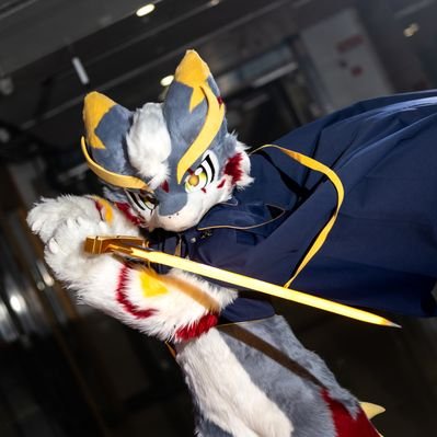 猫柠Maoning ~'s profile picture