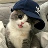 Berna's profile picture