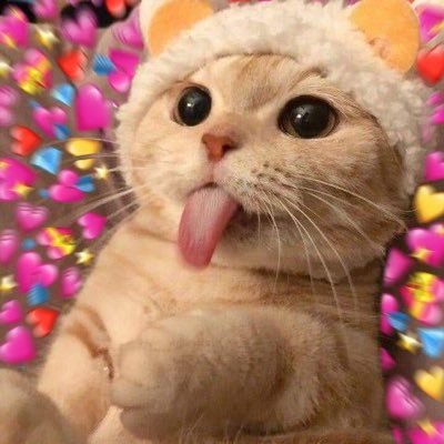 𝐋𝐨𝐯𝐞𝐬𝐭𝐫𝐮𝐜𝐤 💘's profile picture