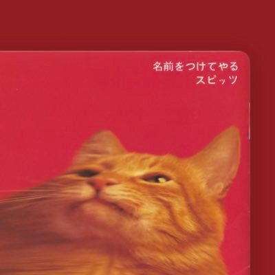 I_will_name_you's profile picture