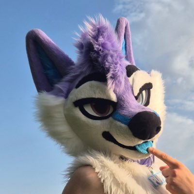 HuskyHole's profile picture