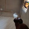 Oluwafemi 👑's profile picture