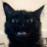 DEADHEAD's profile picture