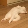 Soulmate_#ทีมอ่านไม่ทันแต่ก็ยังใจเย็น🔥's profile picture