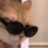 Profilbild von Rys1050
